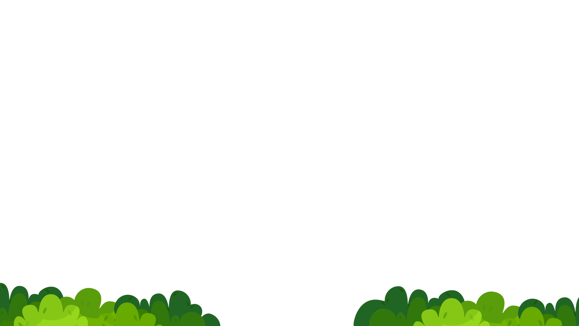 FLYFF